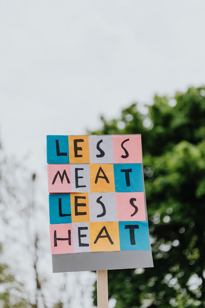 Colorful protest placard reading Less Meat Less Heat promoting environmental awareness.